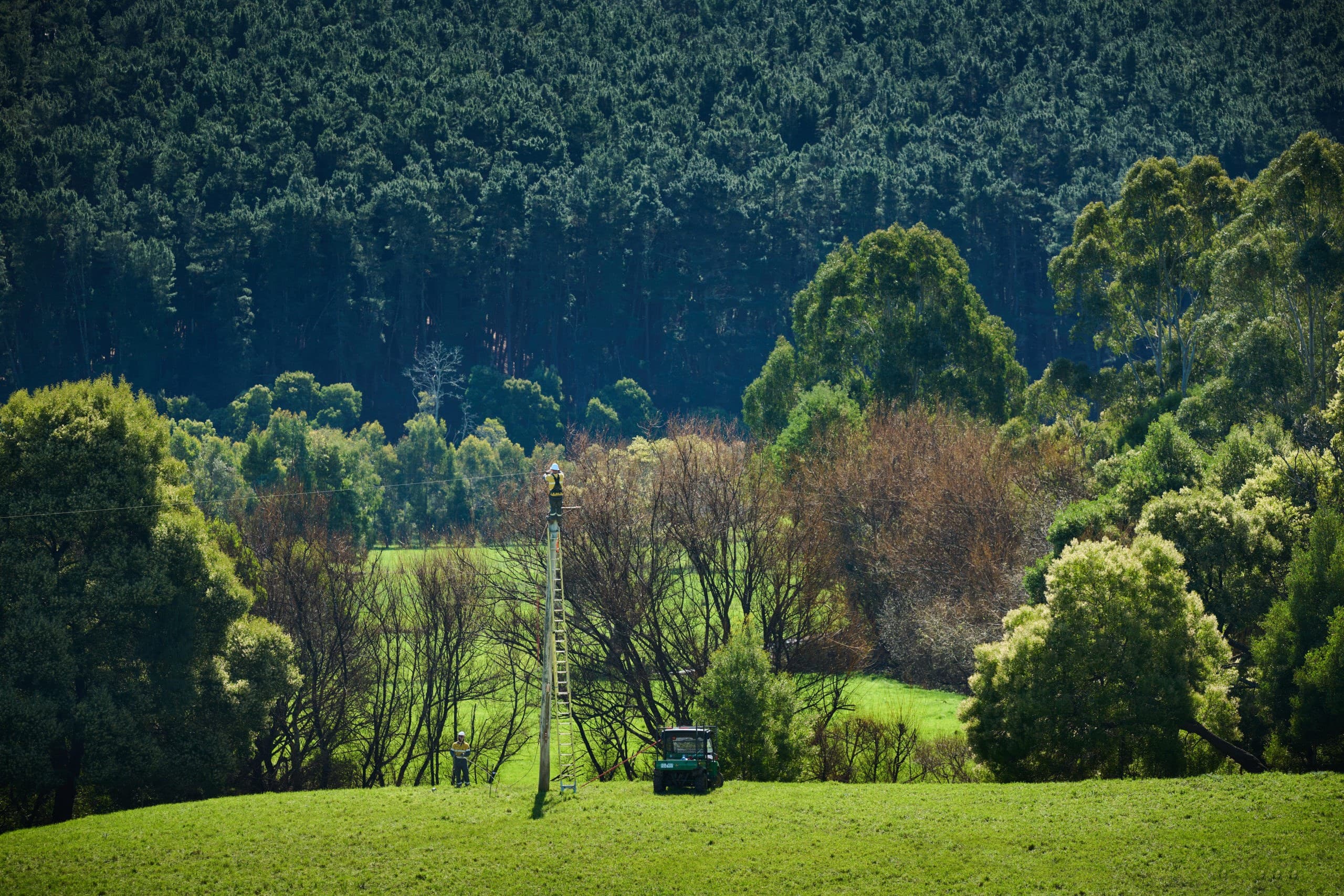 Otways blitz keeps local network safe and reliable ahead of summer
