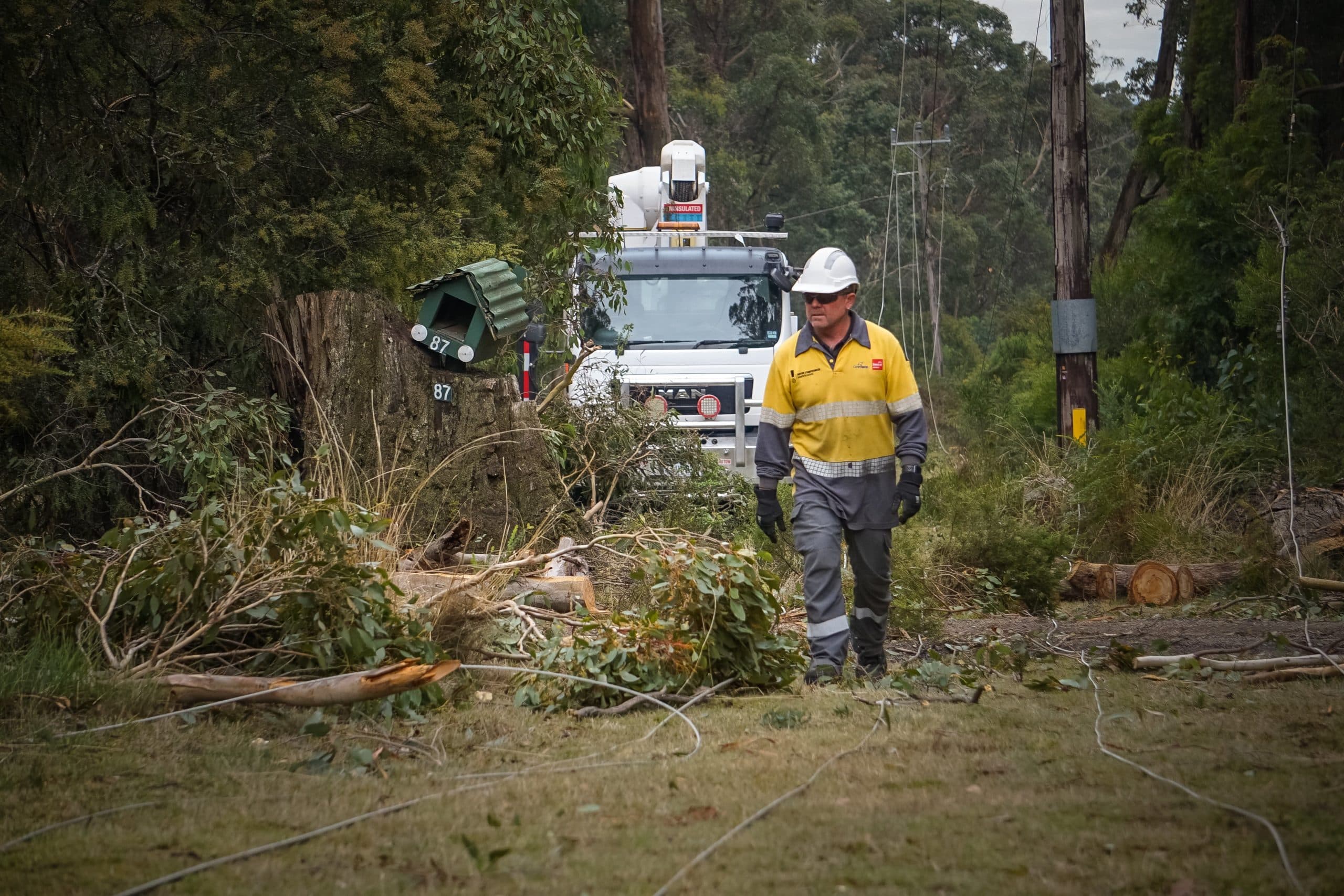 Powercor customers urged to prepare as wild windy weather continues