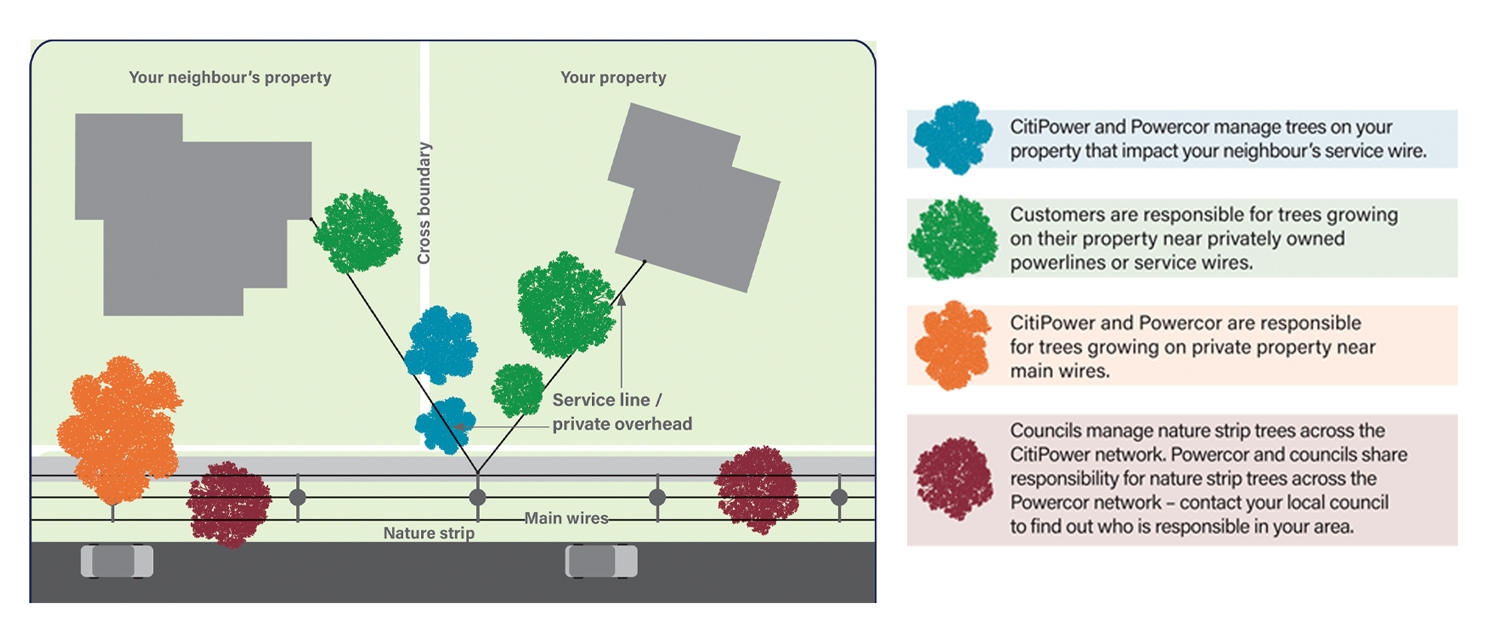Diagram showing the responsibility for keeping trees away from the powerlines between landowners, councils and power distributors.