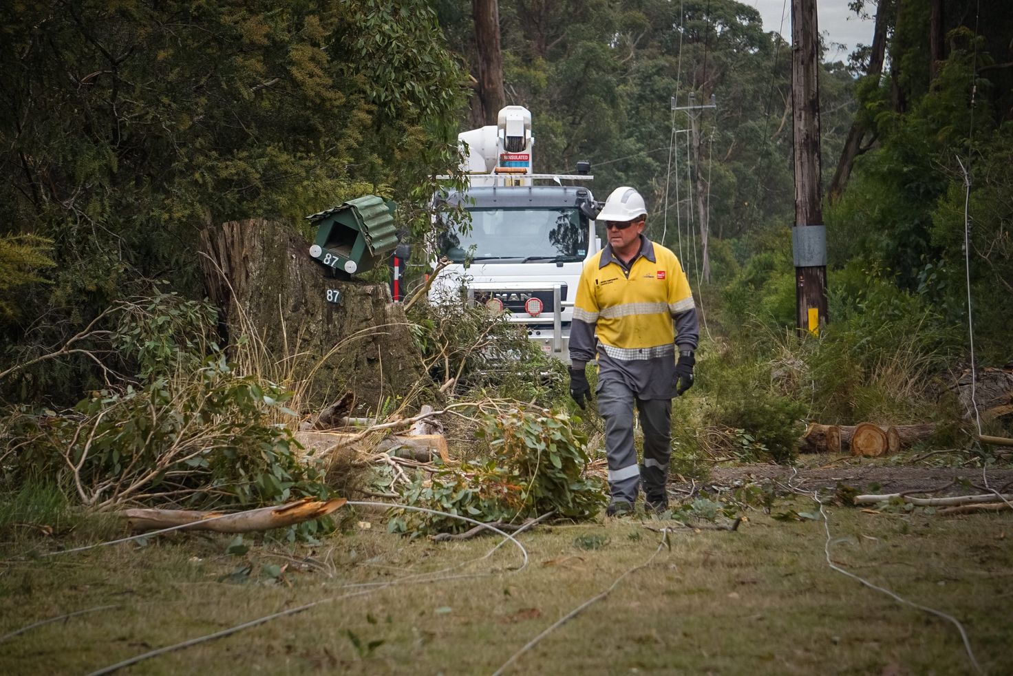 Outages And Emergencies Citipower Powercor